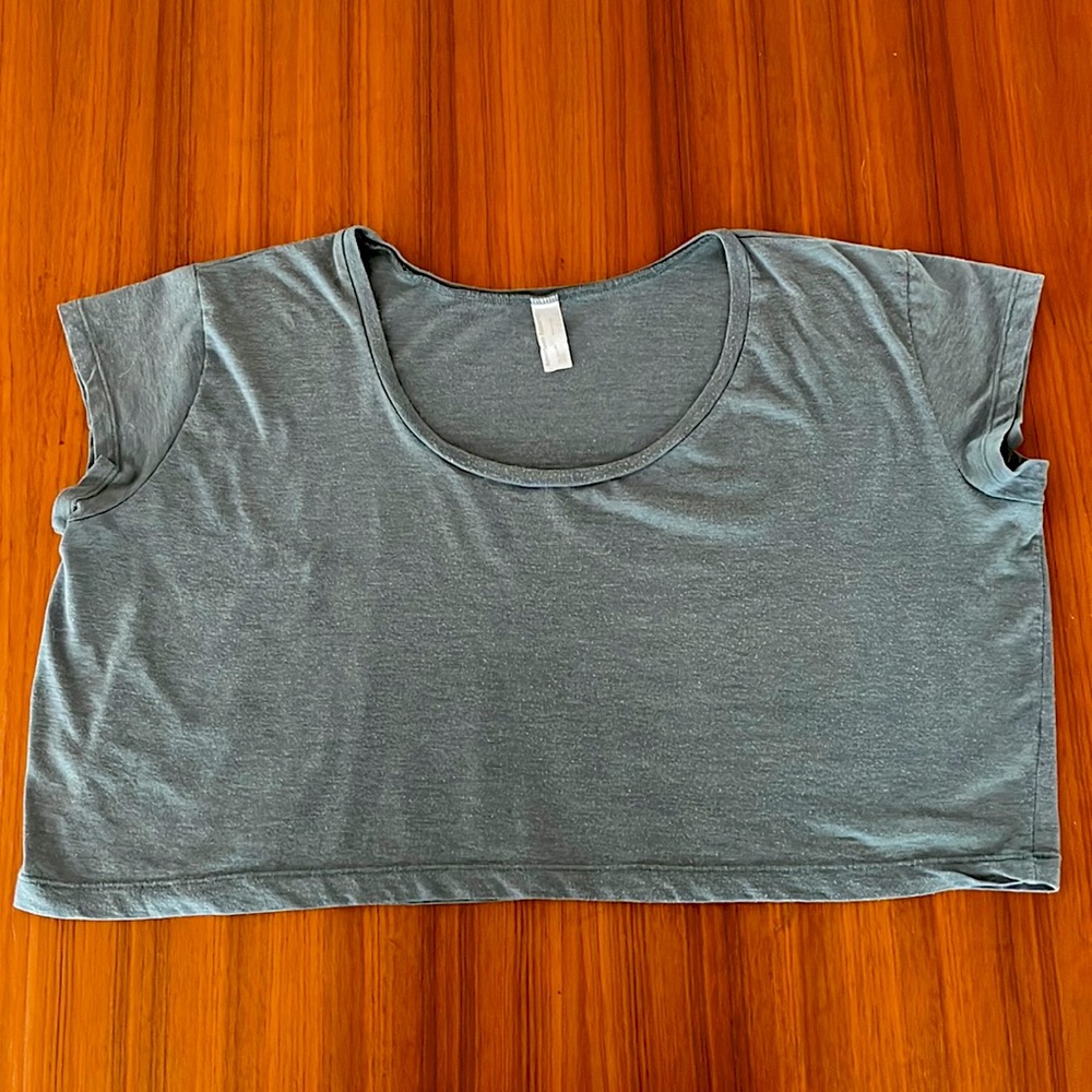 American Apparel Loose Crop, circa 2010